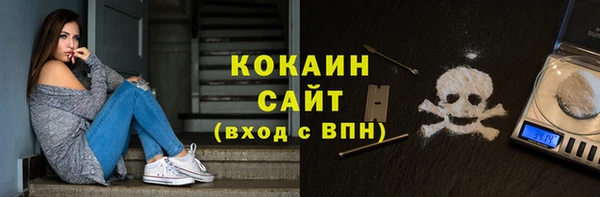 индика Балахна