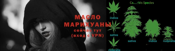 индика Балахна