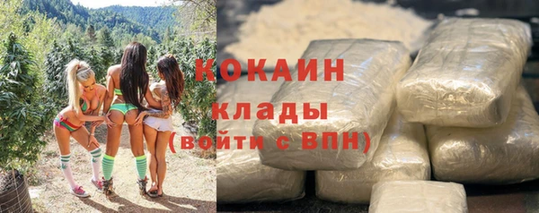 индика Балахна