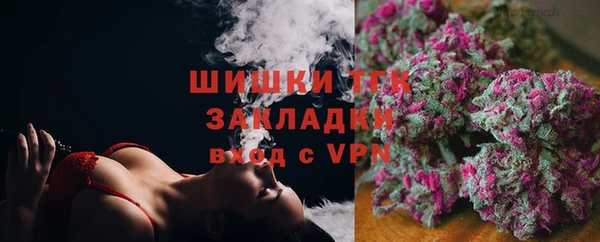 индика Балахна