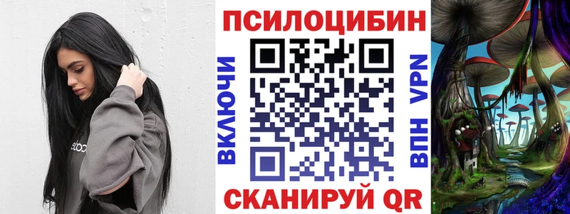Псилоцибиновые грибы Psilocybine cubensis  дарк нет состав  Иноземцево 